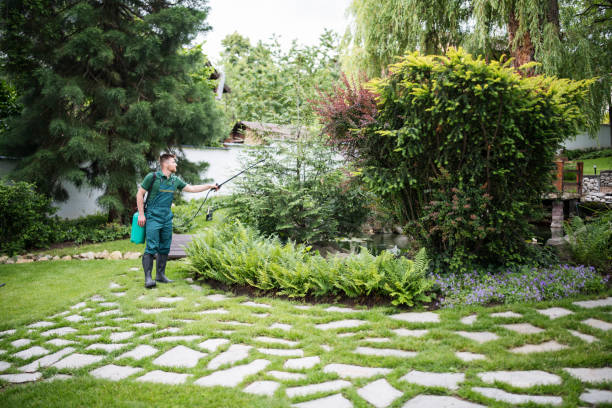 Best Tree Preservation Services  in Mesita, NM